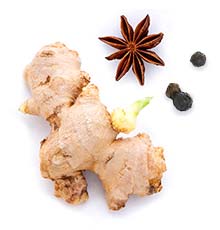 Spices